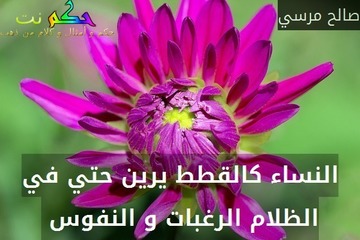 انتظر .. جاري تحميل الصورة