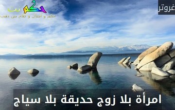 انتظر .. جاري تحميل الصورة
